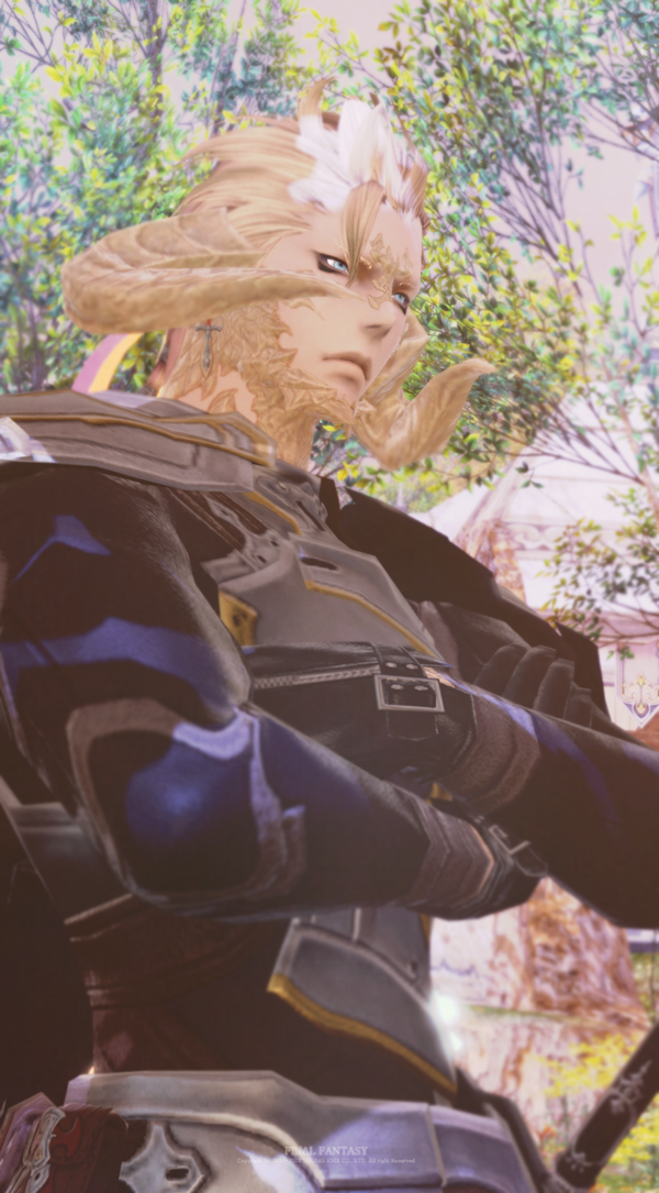 7.png