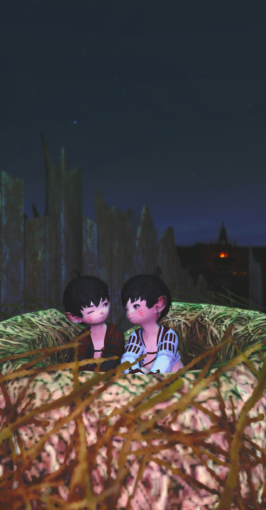 ffxiv_20180221_000947.png