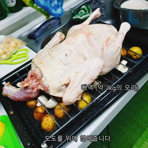 도도통구이 6.png