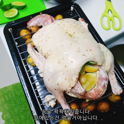 도도통구이 7.png