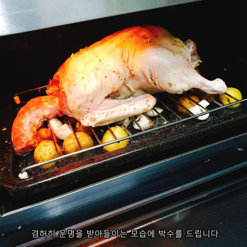 도도통구이 9.png