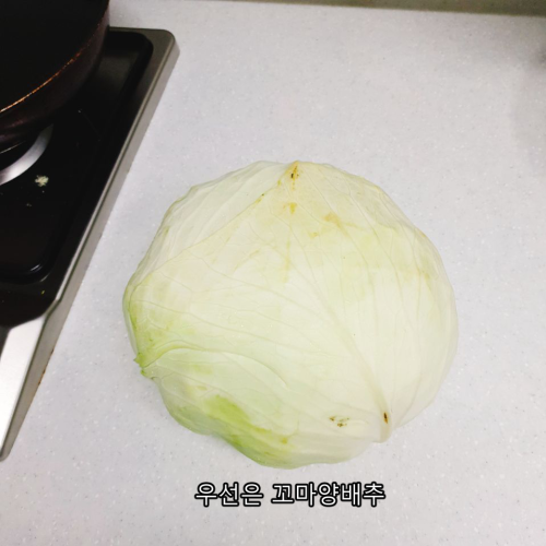 양배추 2.png