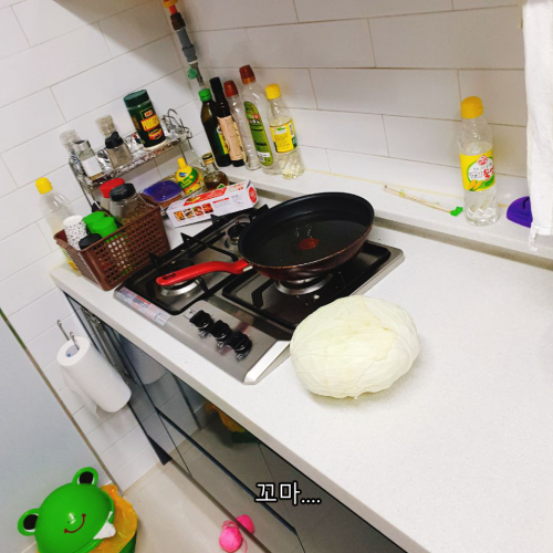 양배추 3.png