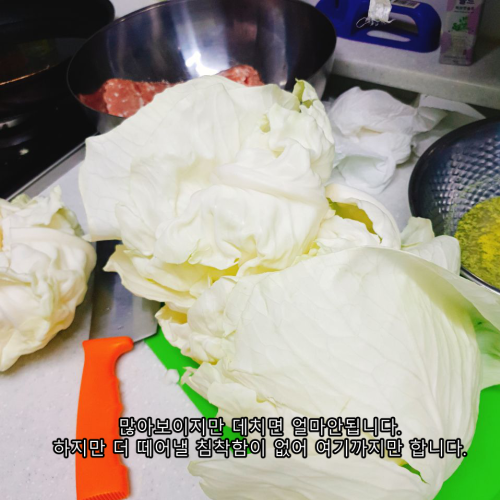 양배추 7.png