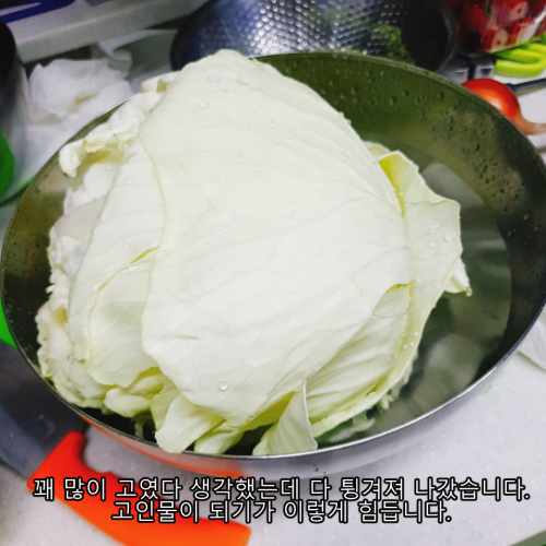 양배추 11.png
