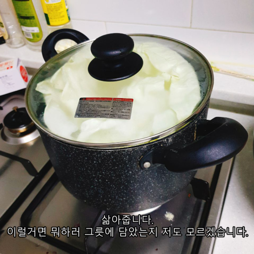 양배추 12.png