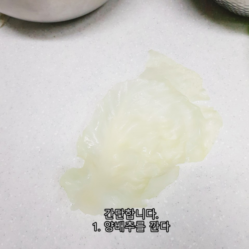 양배추 17.png