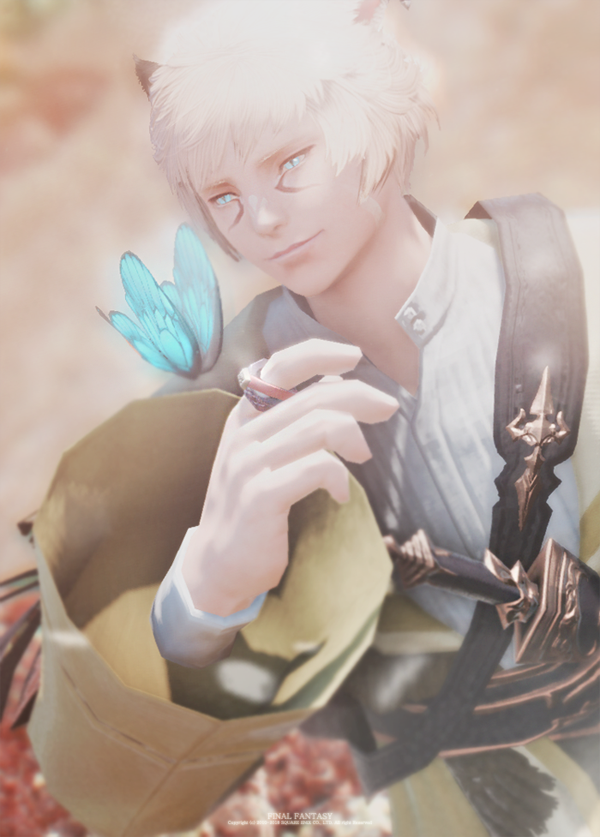 16.png