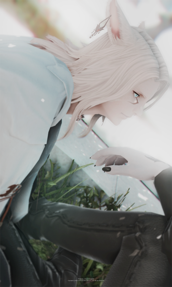 225.png