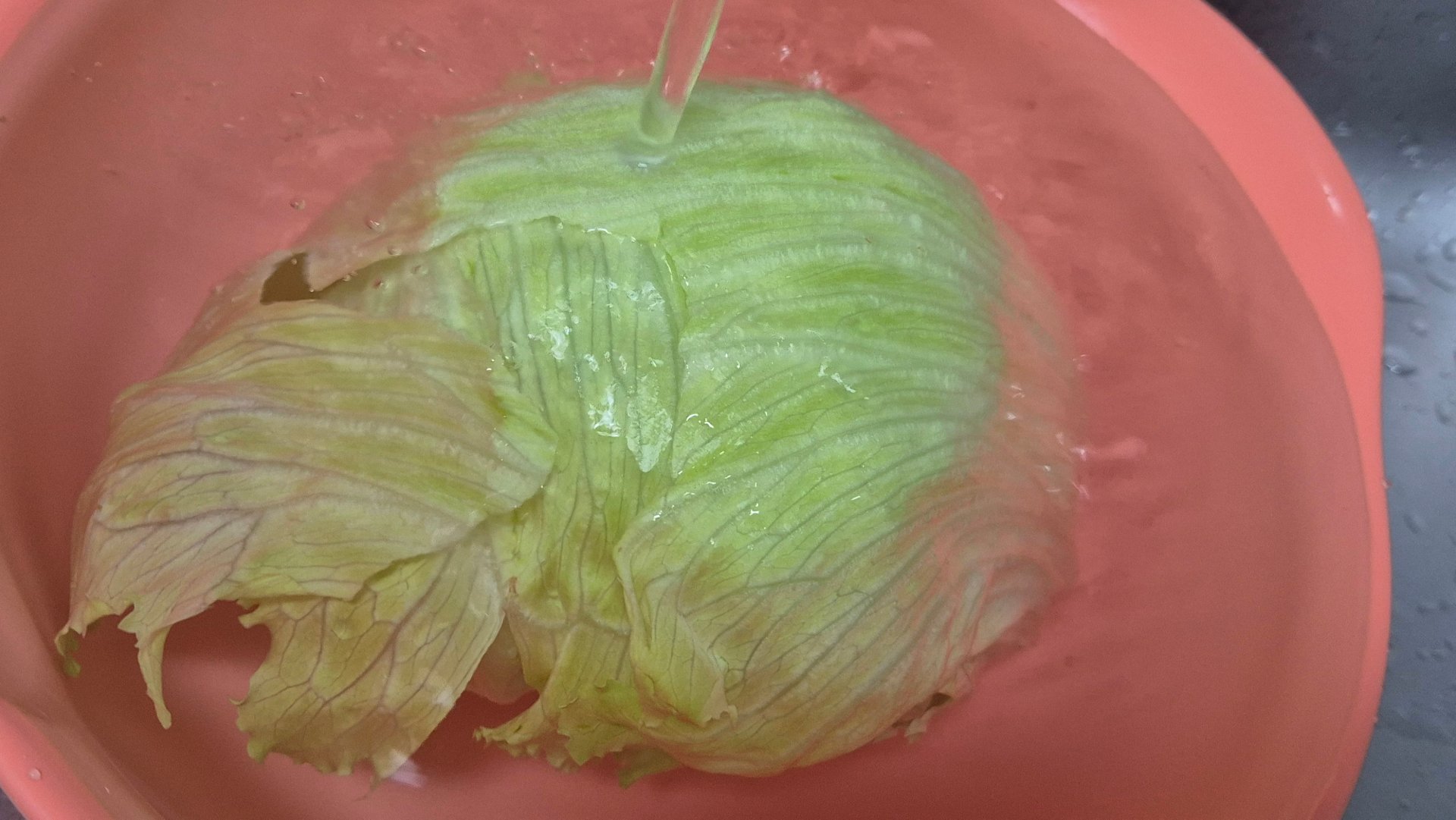 Adobe Express - file (1).jpg