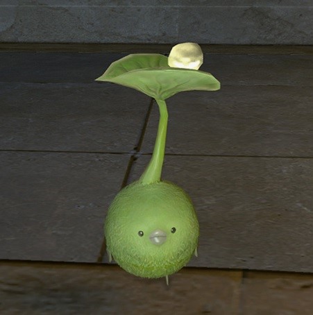 머윗잎 요정.jpg