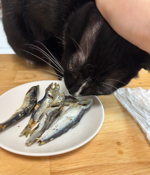 스크린샷 2025-05-23 210000.png