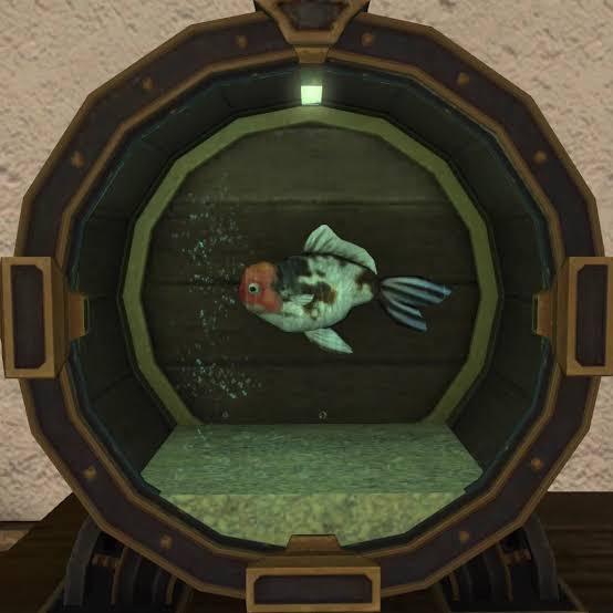 images.jpg