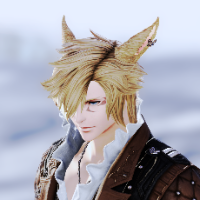 ffxiv_20261023_132804_728.png